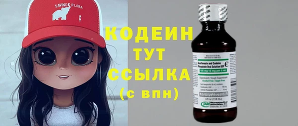 шишки Арсеньев