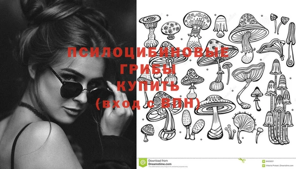 винт Аркадак