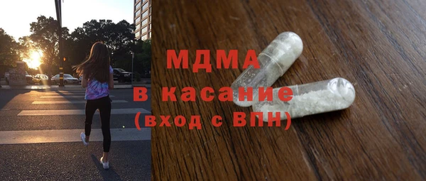 шишки Арсеньев