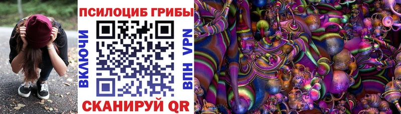 darknet как зайти  Чудово  Псилоцибиновые грибы MAGIC MUSHROOMS  ссылка на мегу как зайти 